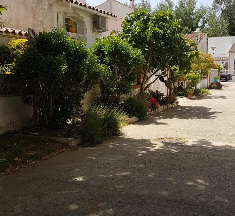 Maison De Vacances A Empuriabrava "Oasis" Villa Buitenkant foto