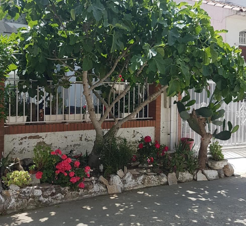 Maison De Vacances A Empuriabrava "Oasis" Villa Buitenkant foto